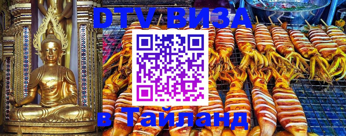 Оформление DTV визы под ключ: стоимость и тарифы, только загранпаспорт - Нижний Новгород  07.01.2026 